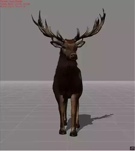 red deer v1