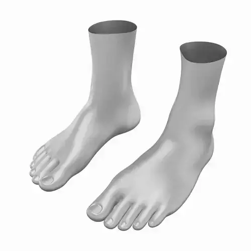 Human Feet In Standing Position Base Mesh 3D model