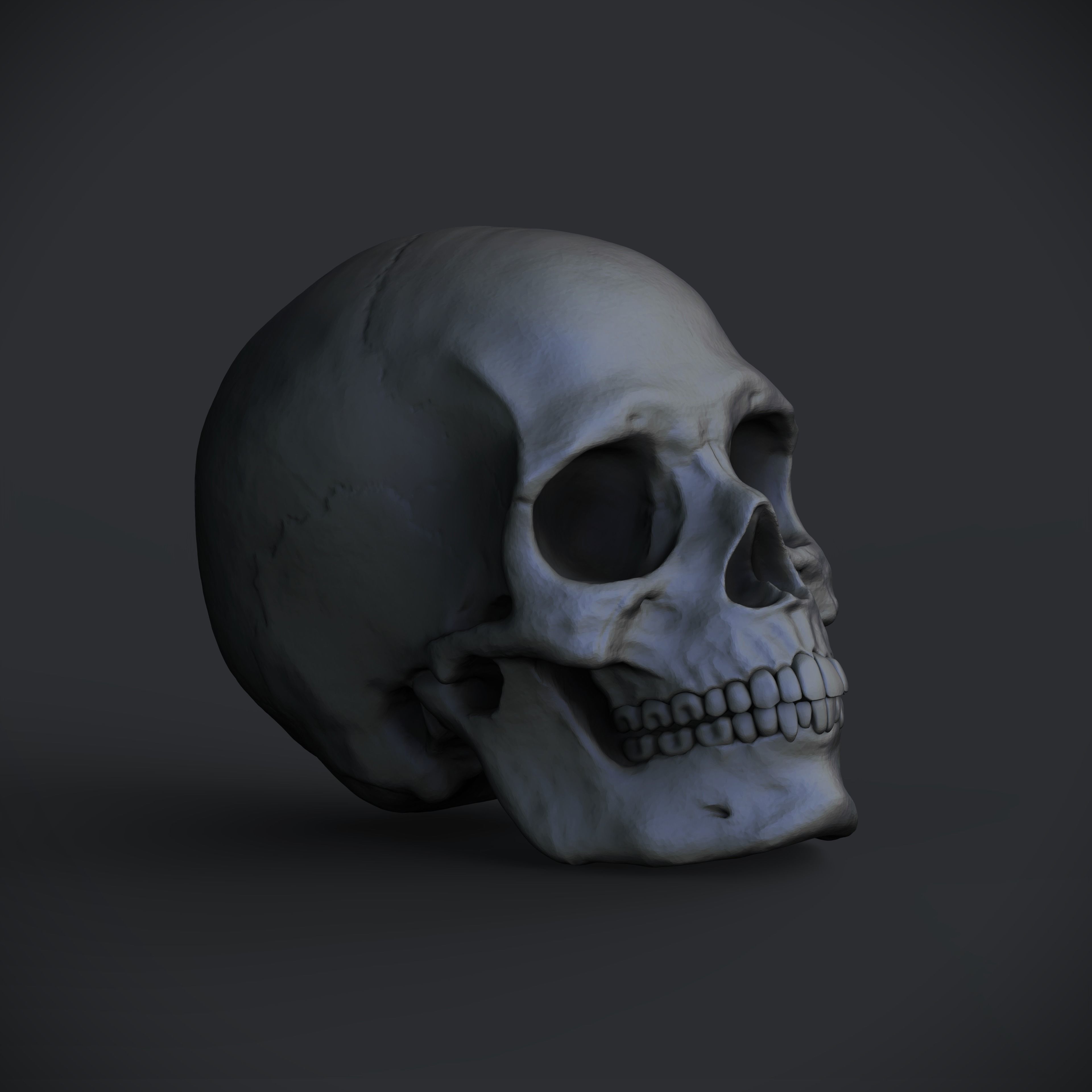 Skull Free 3D print model_1