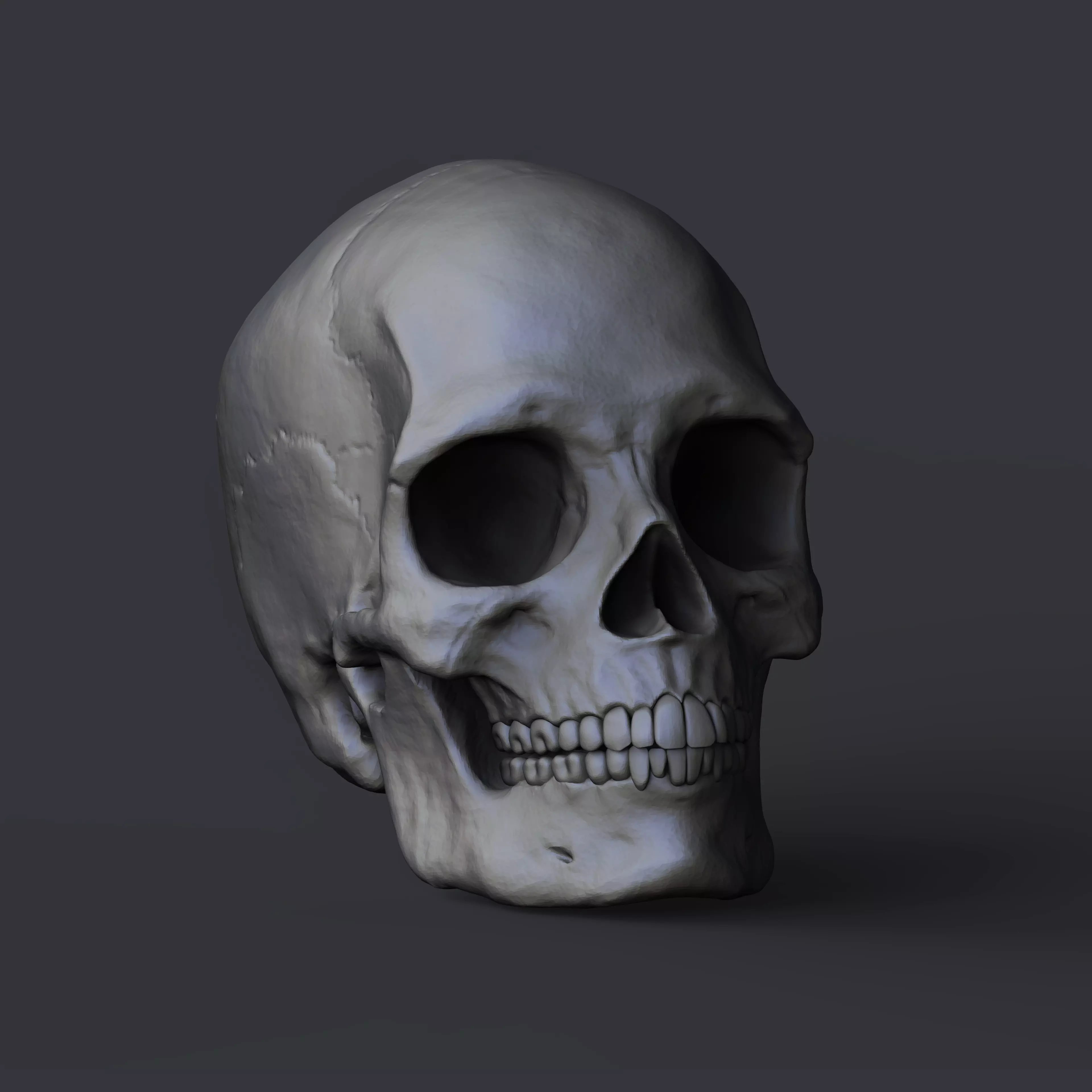 Skull Free 3D print model_0