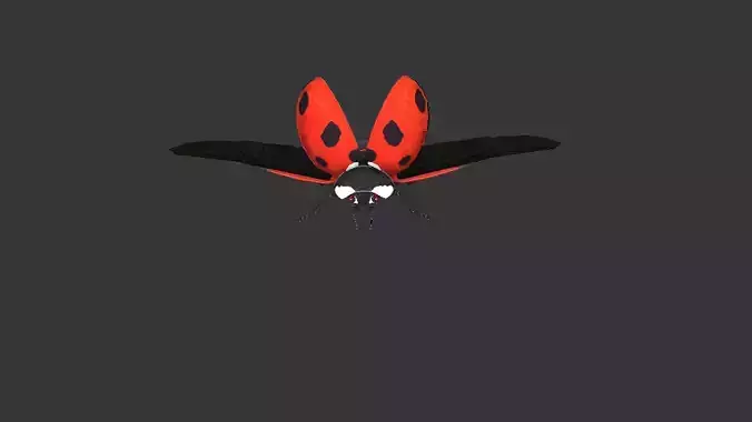 Ladybug 