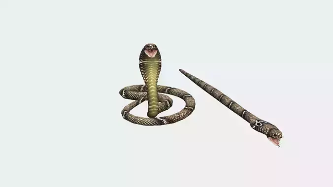 Cobra  Low-poly 3D model