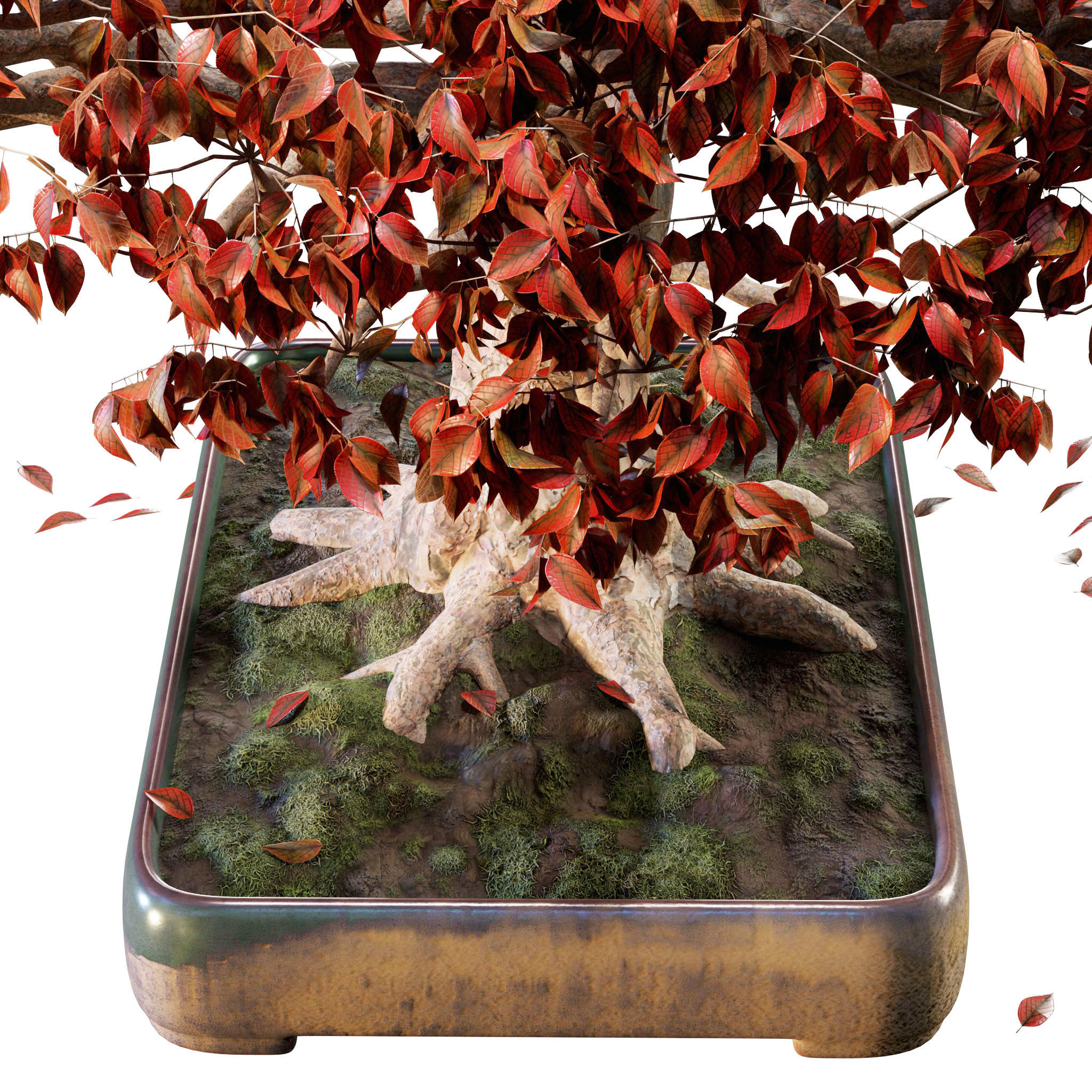 Bonsai 03 - PBR - Midpoly - HQ 3D model_9