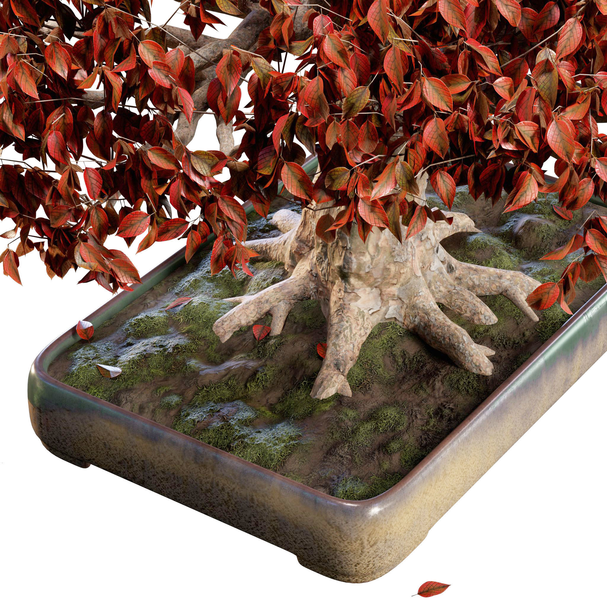 Bonsai 03 - PBR - Midpoly - HQ 3D model_6