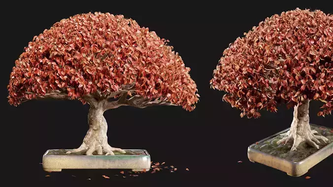 Bonsai 03 - PBR - Midpoly - HQ 3D model