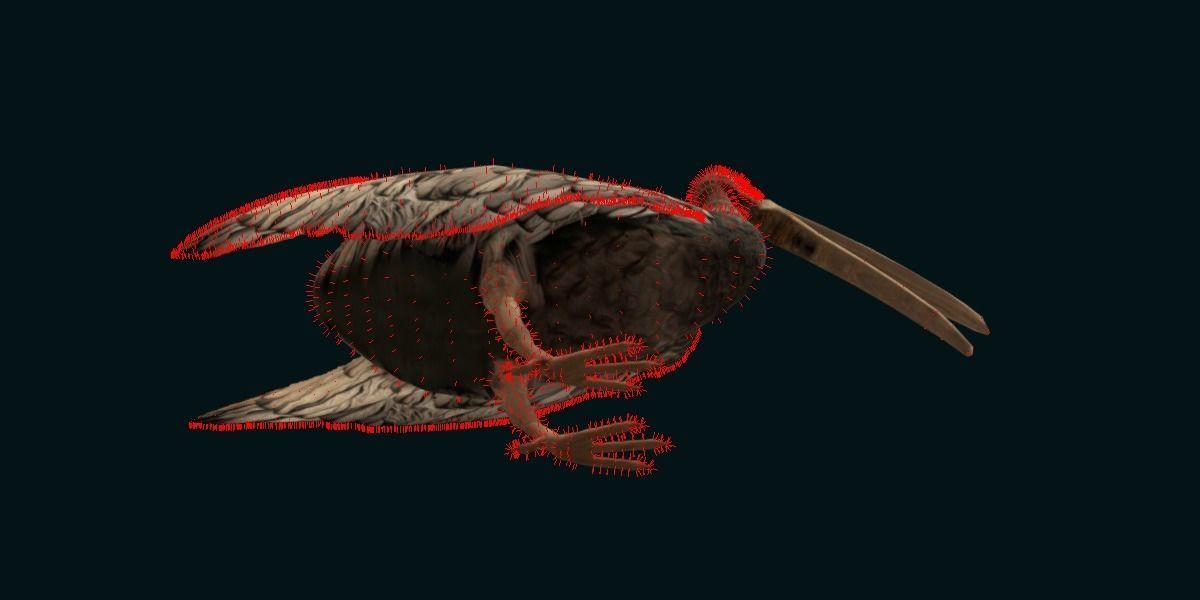 Giant Ibis Bird Low-poly 3D model_10