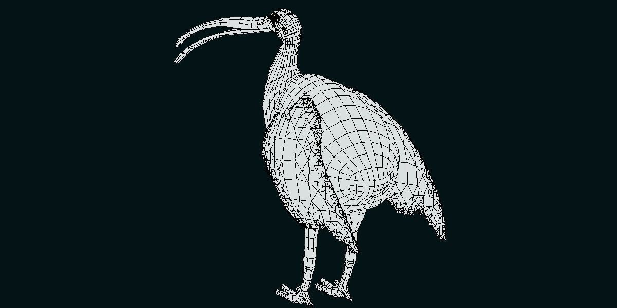 Giant Ibis Bird Low-poly 3D model_9