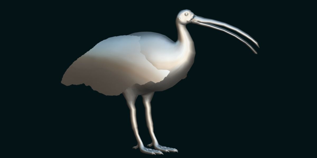 Giant Ibis Bird Low-poly 3D model_23