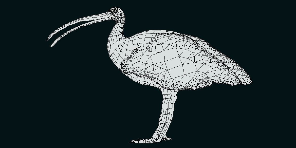 Giant Ibis Bird Low-poly 3D model_8