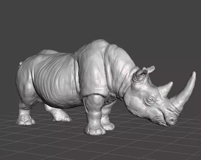 WHITE RHINOCEROS REALISTIC MINIATURE MODEL FOR FANTASY GAMES RPG 3D print model_0