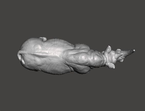 WHITE RHINOCEROS REALISTIC MINIATURE MODEL FOR FANTASY GAMES RPG 3D print model_4