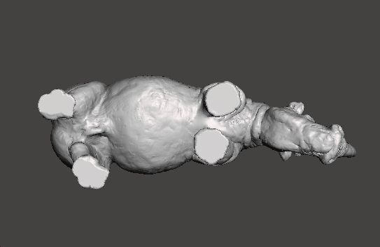 WHITE RHINOCEROS REALISTIC MINIATURE MODEL FOR FANTASY GAMES RPG 3D print model_5