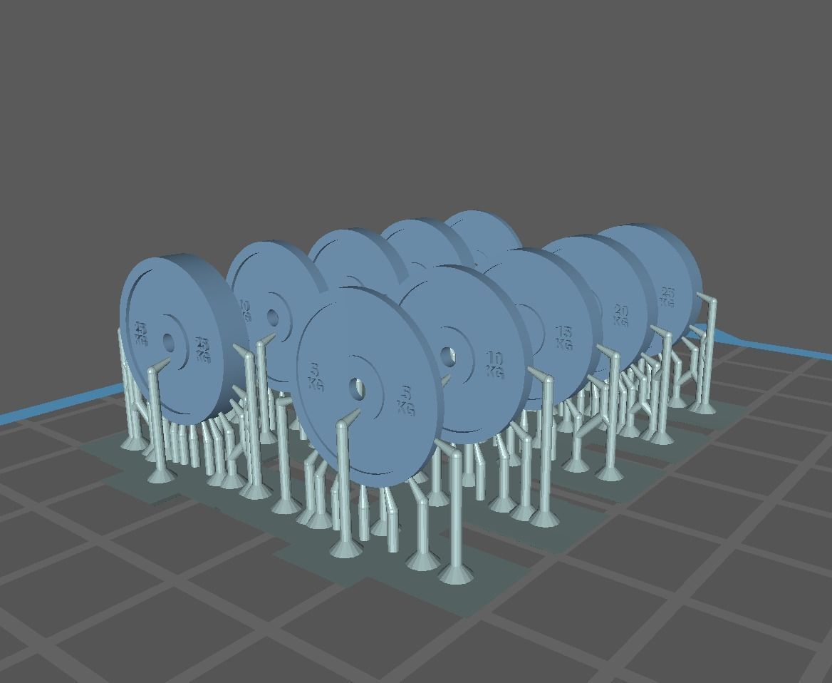 Weightlift olympic barbell EZbar olympic plates 3D print model_2