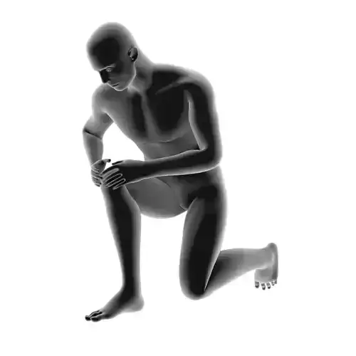 Disease display  pain  leg pain  knee x-ray medical 3D model