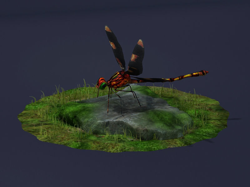 Dragonflies ants beneficial insects realistic arthropod insects 3D model_1