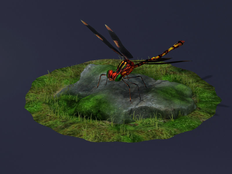 Dragonflies ants beneficial insects realistic arthropod insects 3D model_3