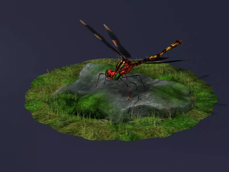 Dragonflies ants beneficial insects realistic arthropod insects 3D model_0
