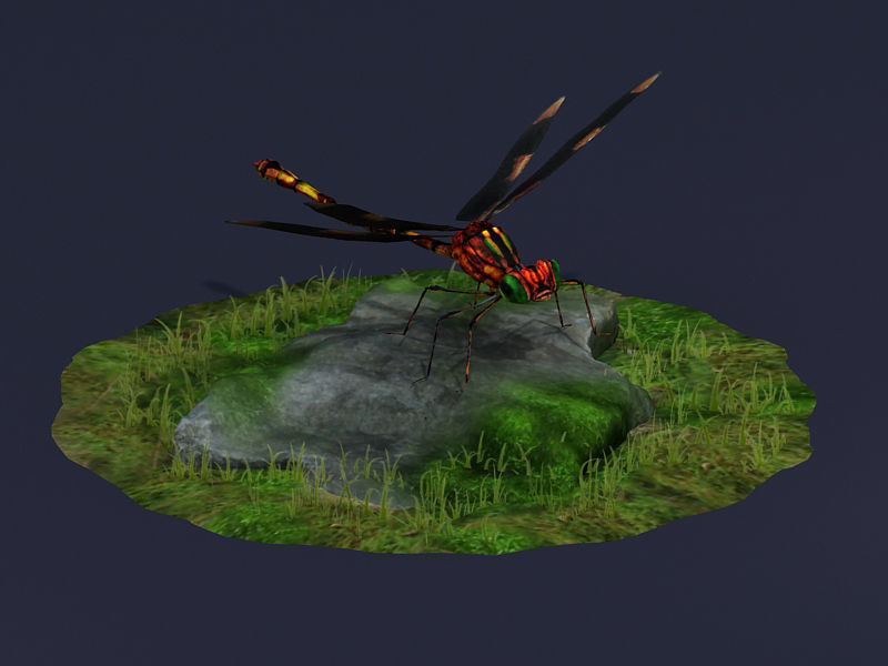 Dragonflies ants beneficial insects realistic arthropod insects 3D model_2