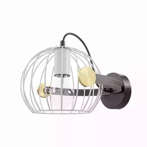 Wall sconce with cage