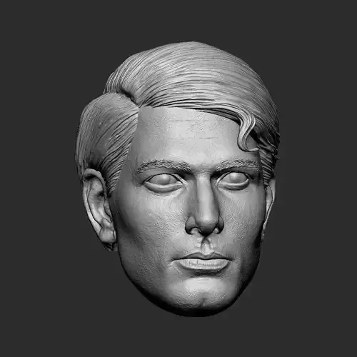 Superman Return - Brandon Routh head 3D print model