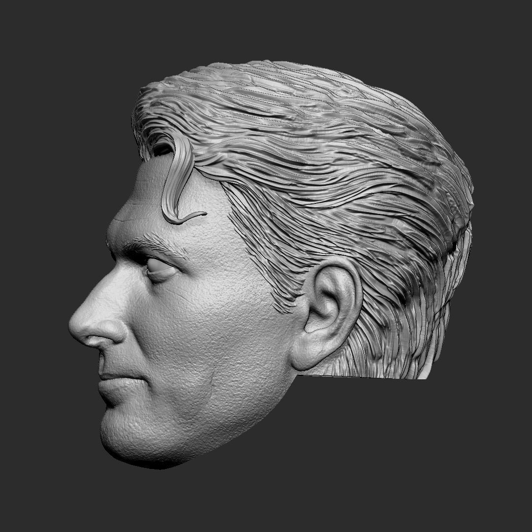 Superman Kingdom Come - Brandon Routh head 3D print model_3