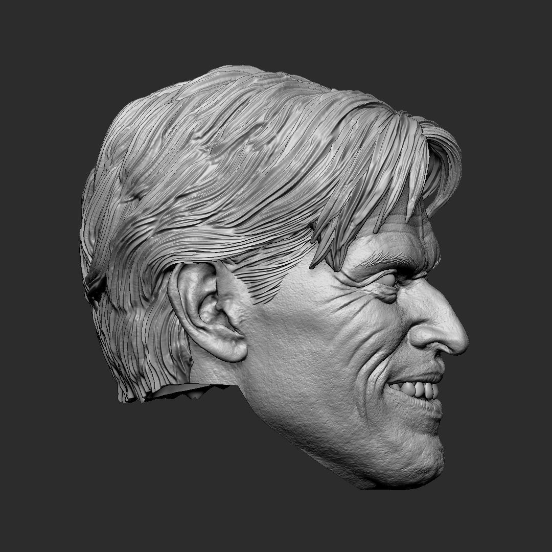 Green Goblin - Willem Dafoe head 3D print model_2