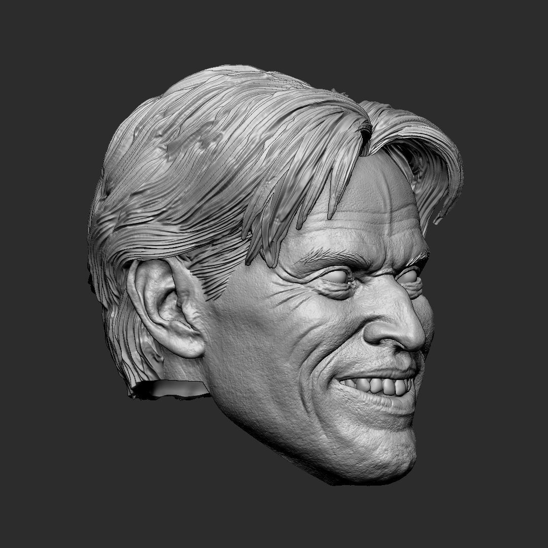 Green Goblin - Willem Dafoe head 3D print model_1