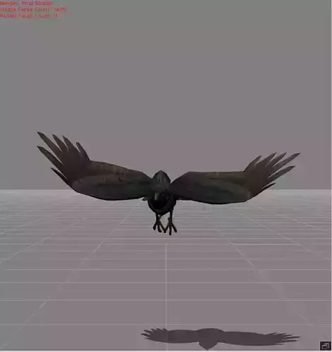 Crow v2