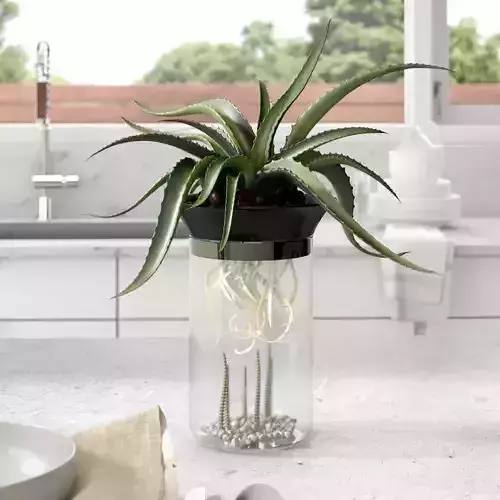 Chico Gallon Aquaponic Betta Aquarium Bowl Free 3D model