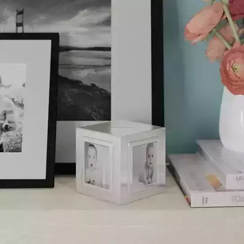 Sabbagh Metal Shadow Box Picture Frame Free 3D model