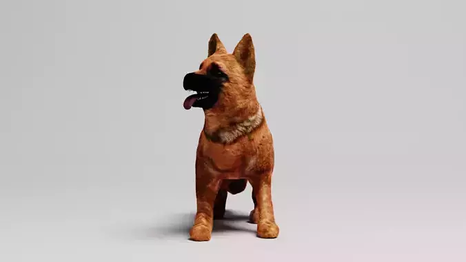 German Shepard