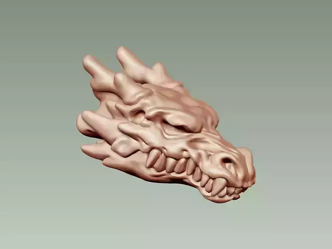 Dragon head bone 3D model