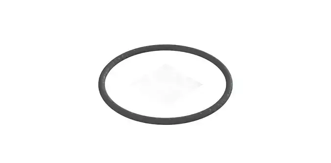 O Ring Vedabras 13024