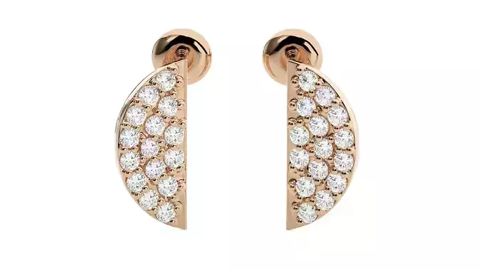 Half Moon Light Wt Earrings 3dm stl renders details