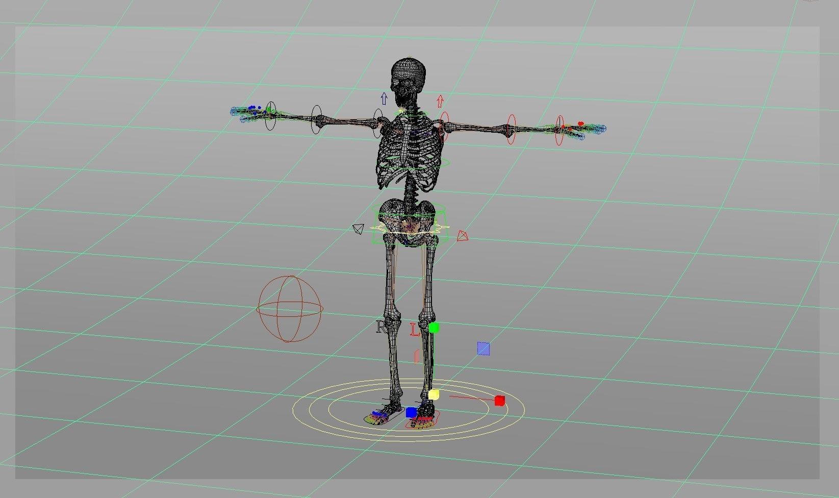 Skeleton Rigging 3D model_12