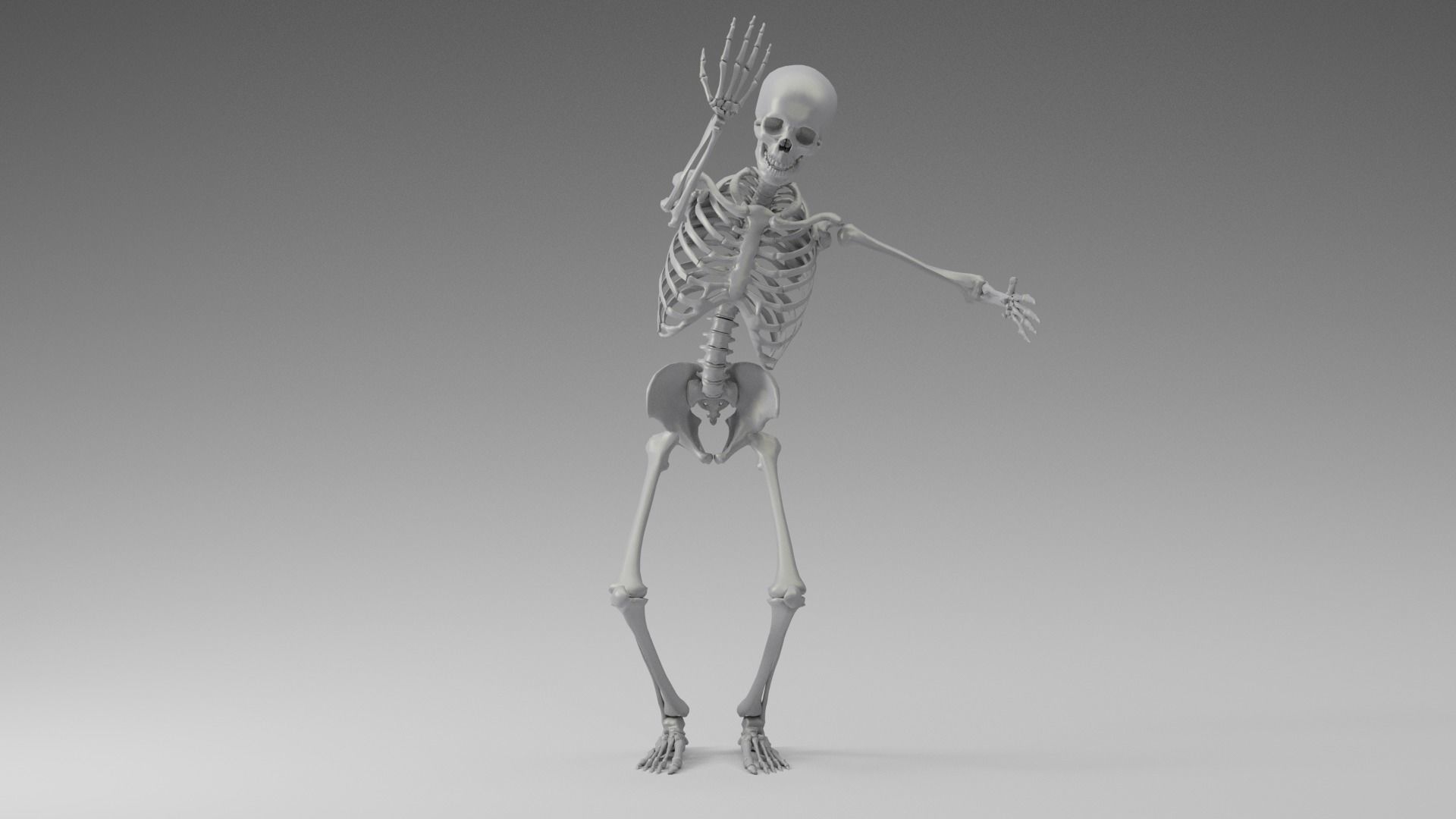 Skeleton Rigging 3D model_13