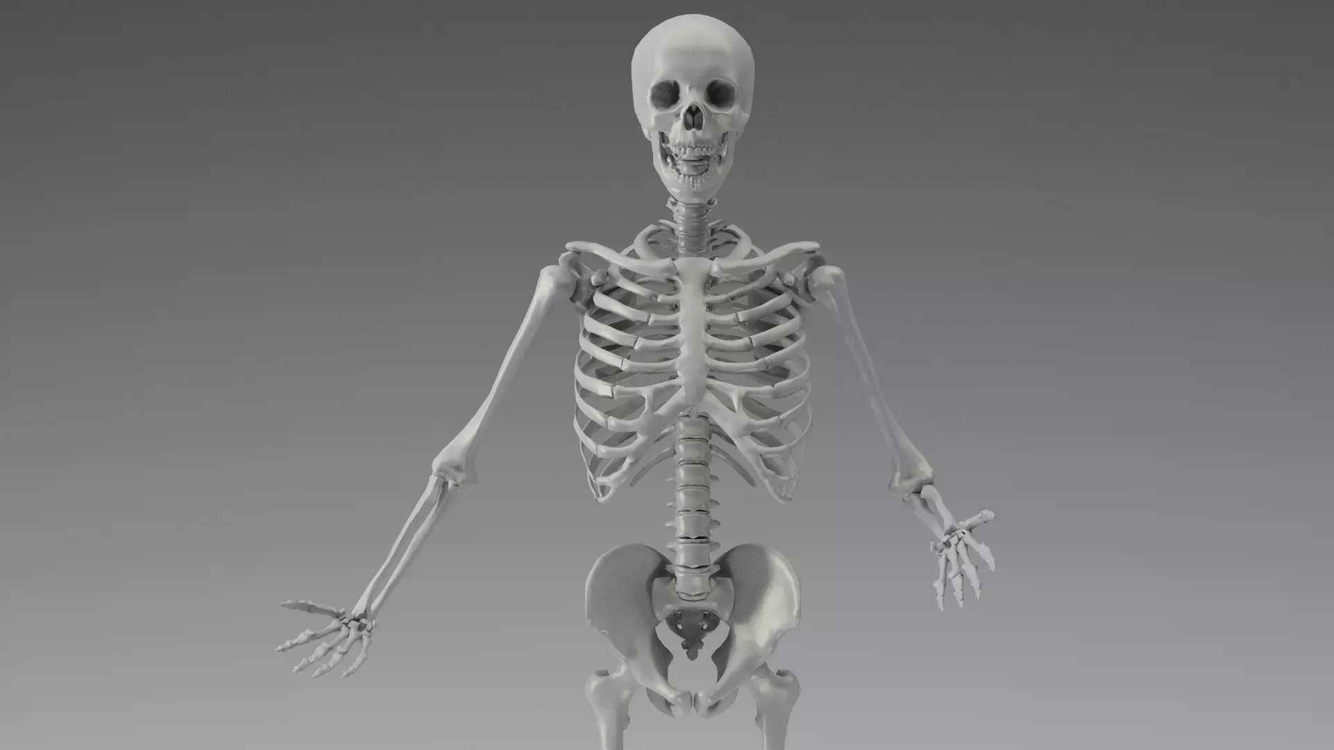 Skeleton Rigging 3D model_0
