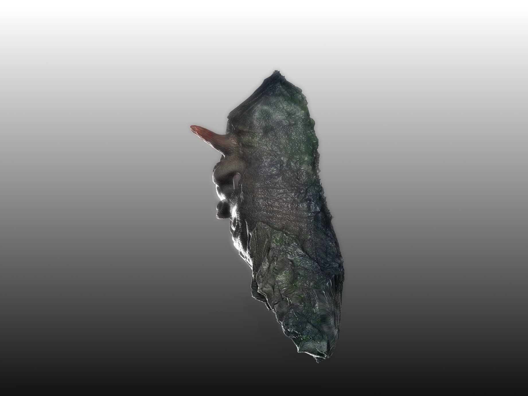 Sea Creature 3D model_3