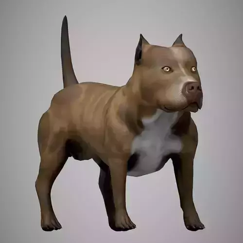 Pitbull American Bully Low-poly 3D model