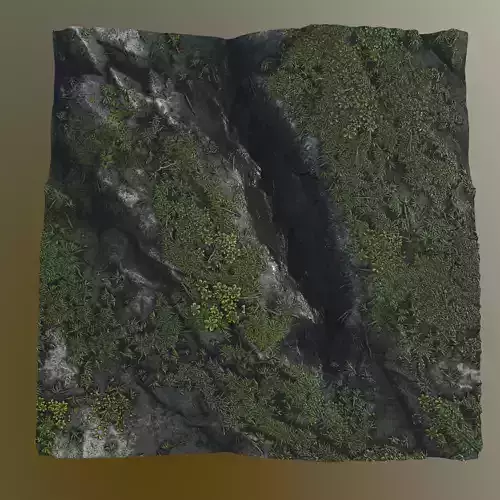 Mossy Cliff Texture
