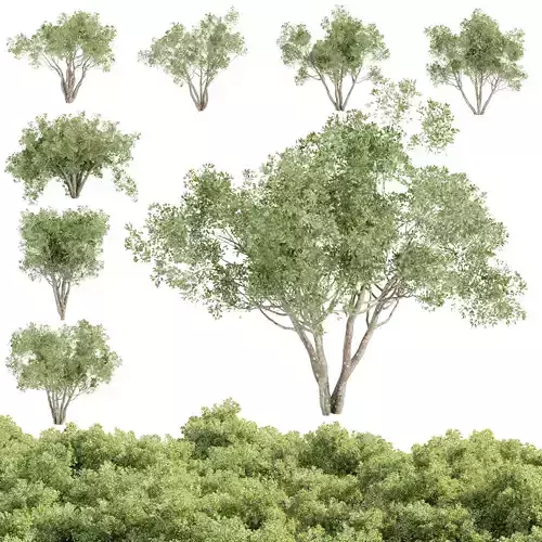 Outdoor plants Collection vol 244-3DModel