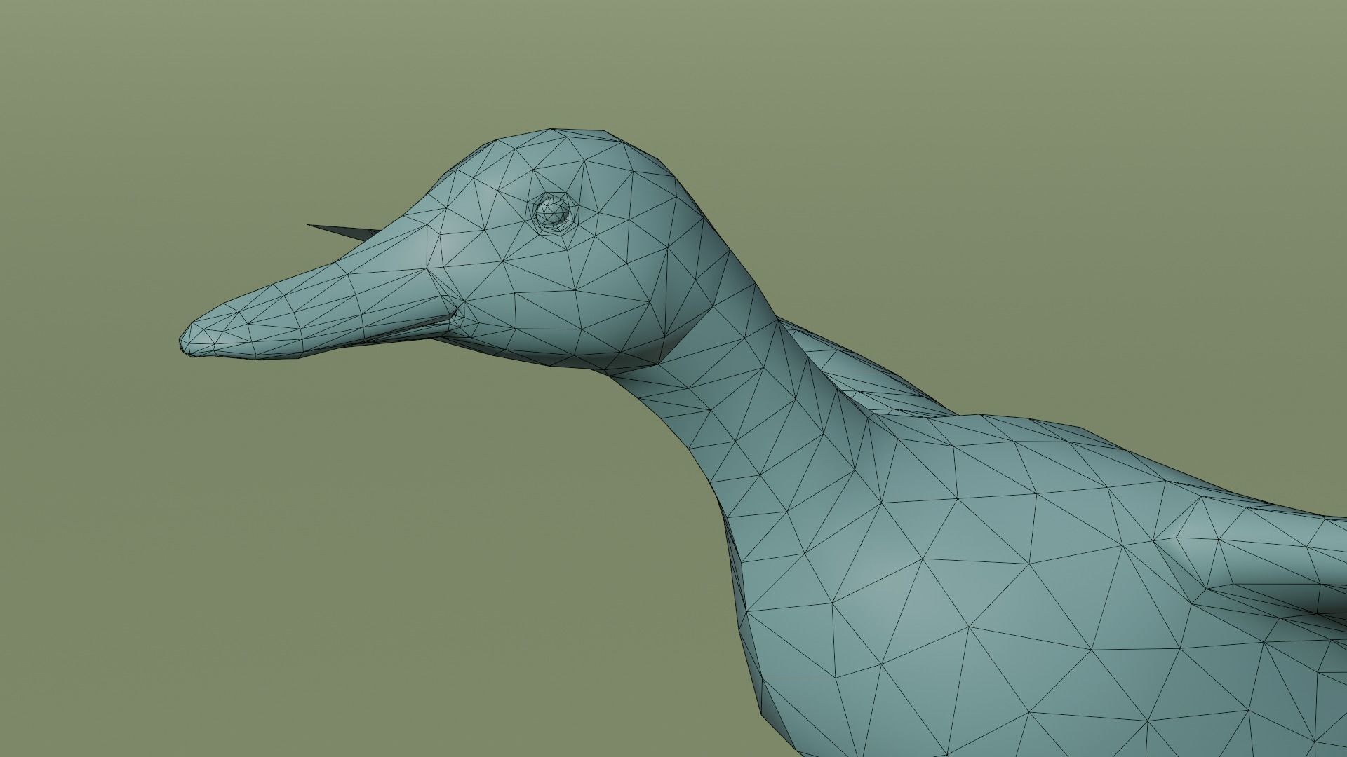Duck Bird Low-poly 3D model_6