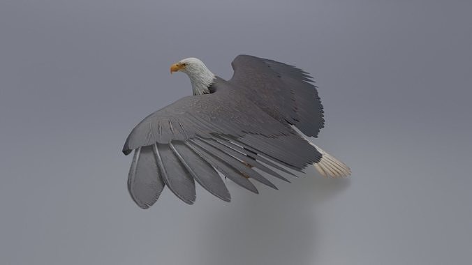Eagle Low-poly 3D model