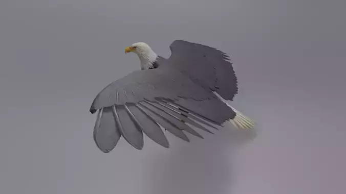 Eagle Low-poly 3D model