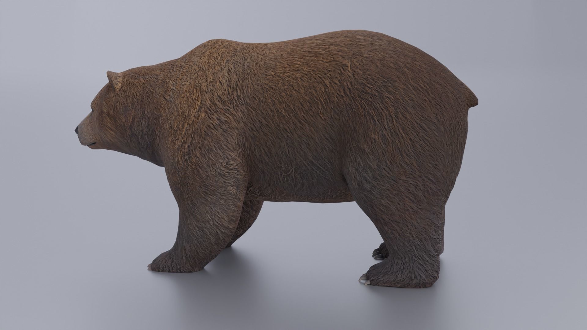 Grizzly Low-poly 3D model_2
