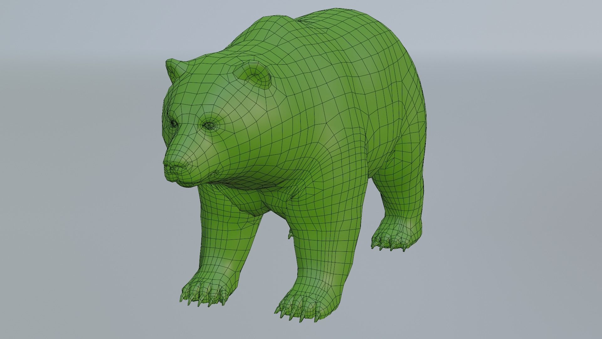 Grizzly Low-poly 3D model_7