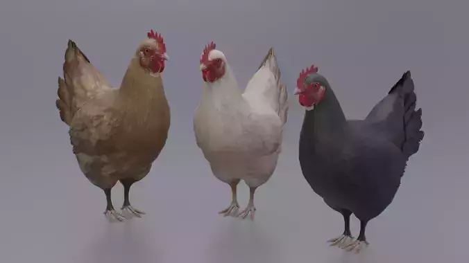 Hen with three different Textures Low-poly 3D model