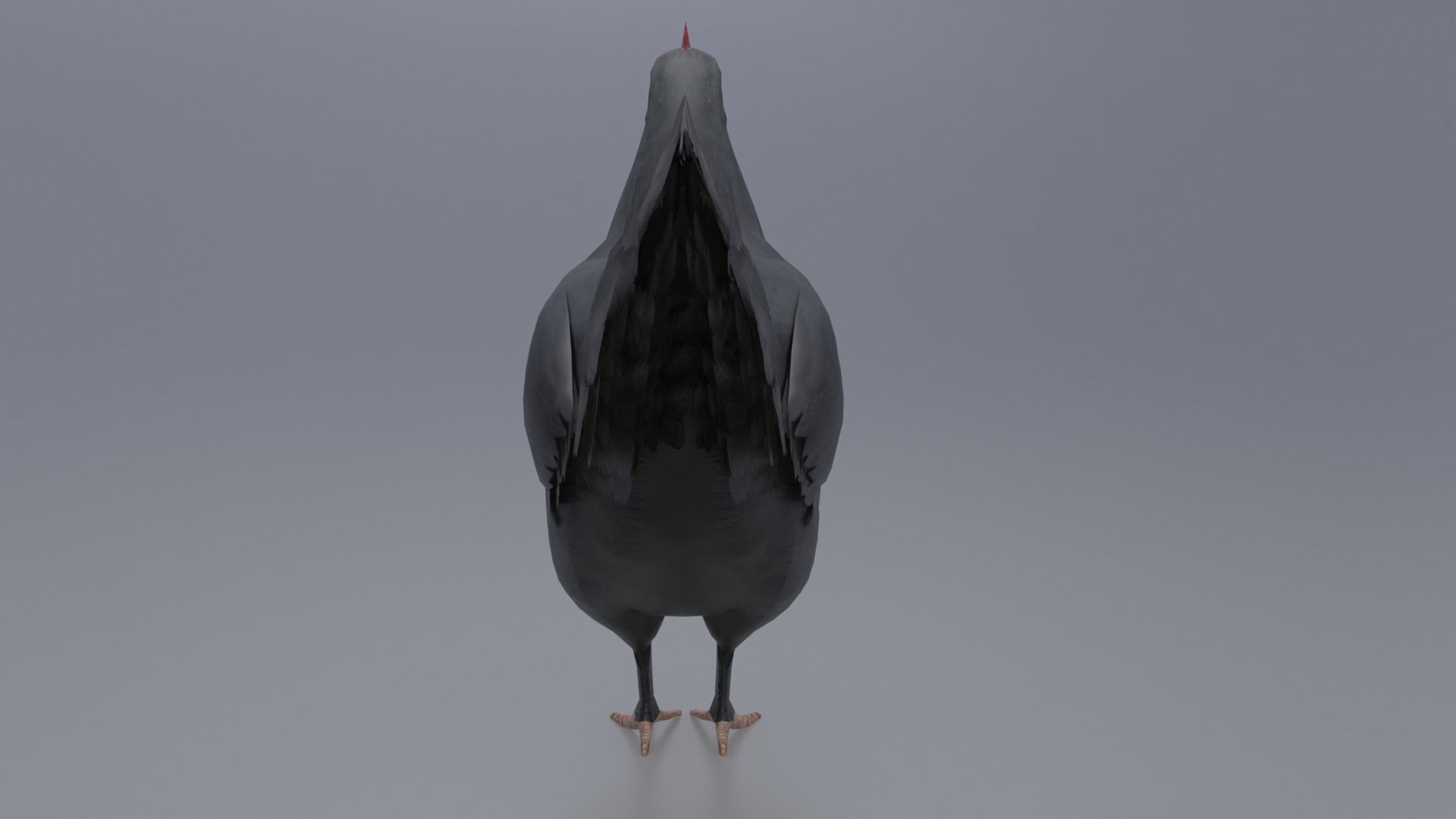 Hen with three different Textures Low-poly 3D model_9