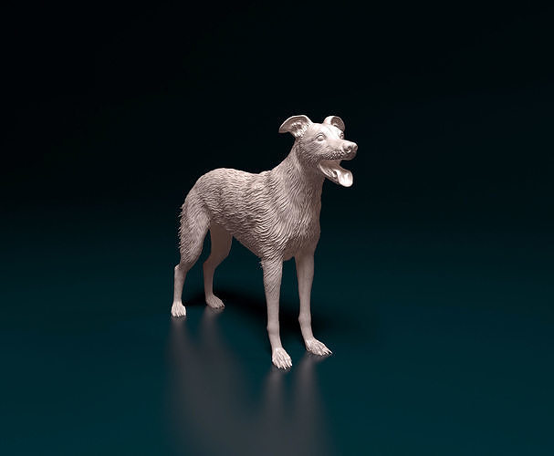 Greyhound wirehired  3D print model