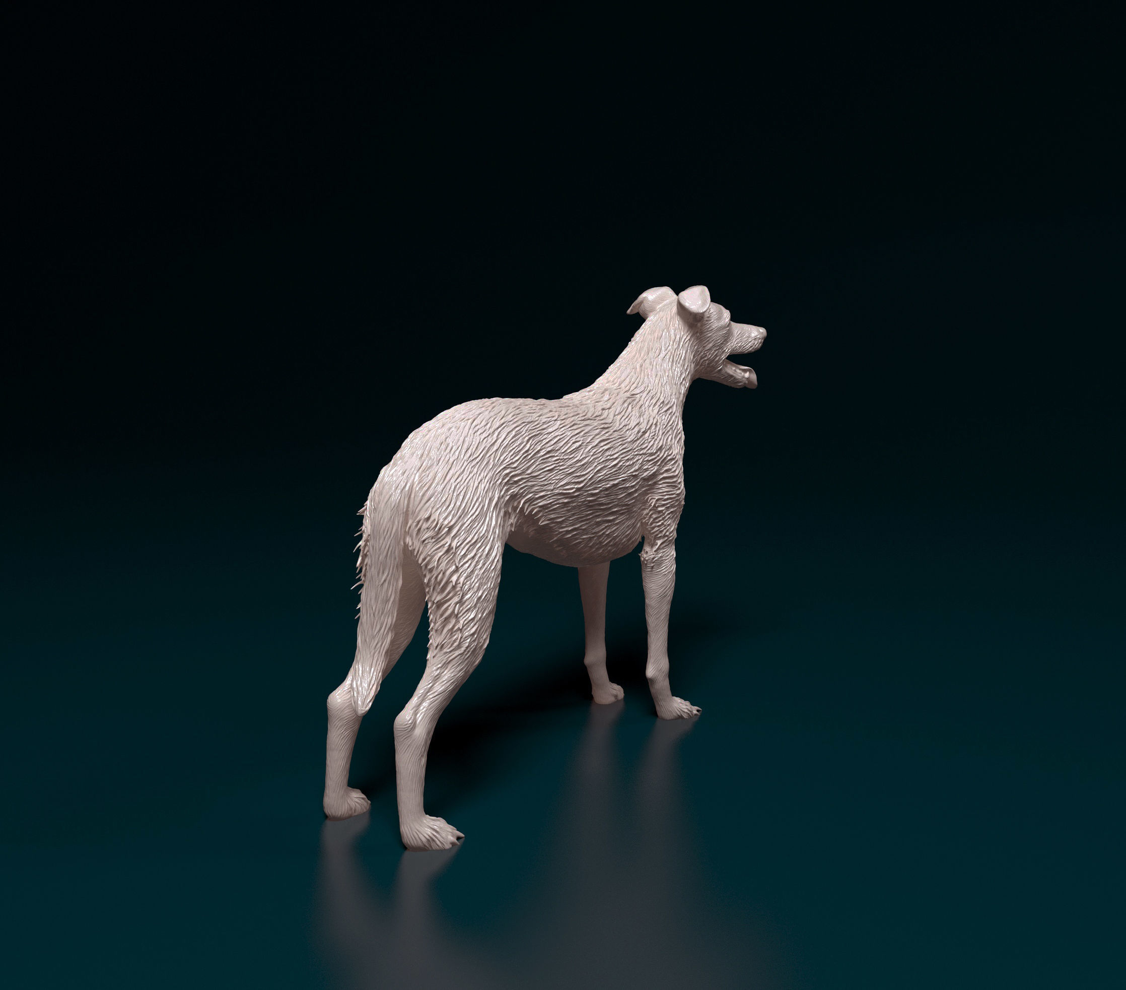 Greyhound Wirehired 3D Model 3D Printable CGTrader greyhound-wirehired-3d-model-3d-printable-cgtrader